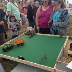 Bloxham Steam Rally