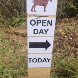 Suffolk Open Day