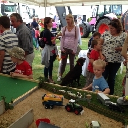 Moreton Show